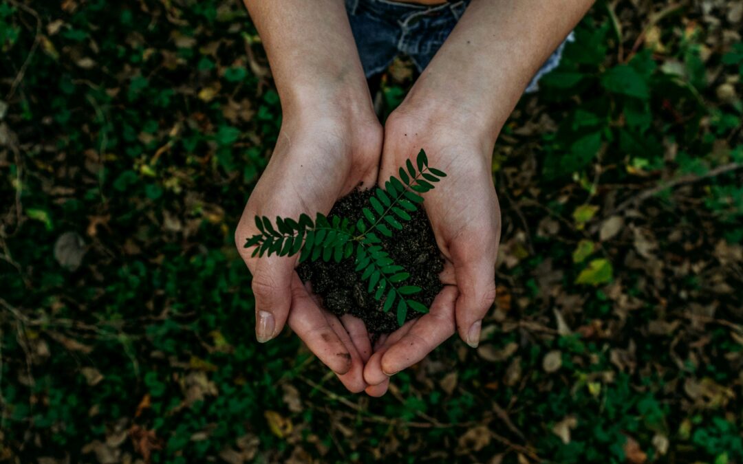 The Green Choice: Why Eco-Friendly Power Washing Makes a Difference
