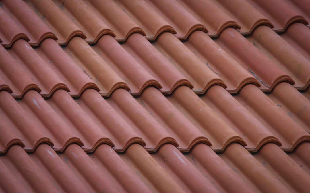 The Benefits of Professional Residential Roof Power Washing